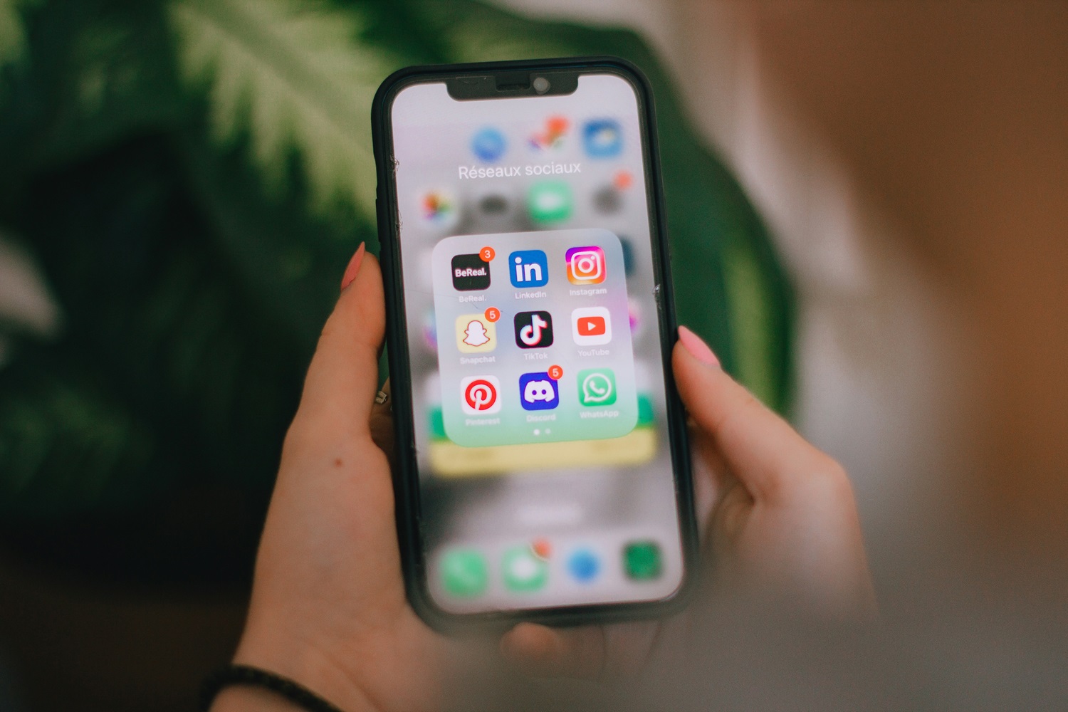 Social Media Management